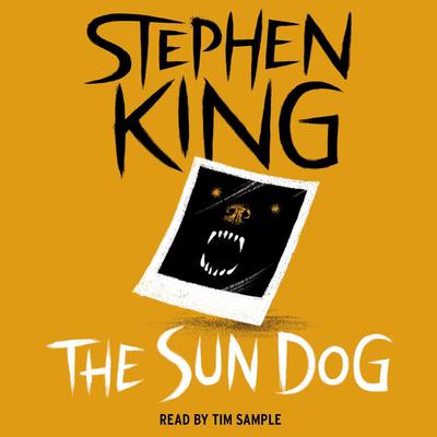 The Sun Dog by Stephen King audiobook