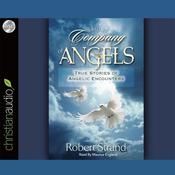 In the Company of Angels by  Robert Strand audiobook