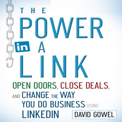The Power in a Link by David Gowel audiobook