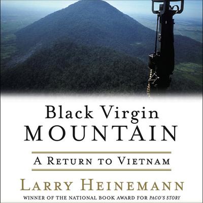 Black Virgin Mountain by Larry Heinemann audiobook