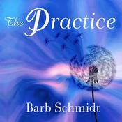 The Practice by  Barb Schmidt audiobook