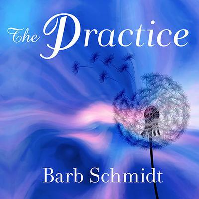 The Practice by Barb Schmidt audiobook
