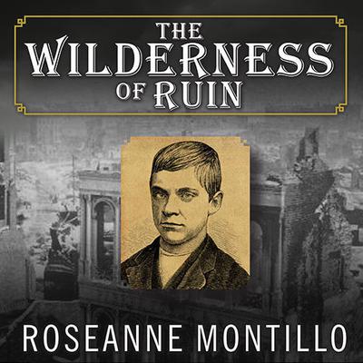 The Wilderness of Ruin by Roseanne Montillo audiobook