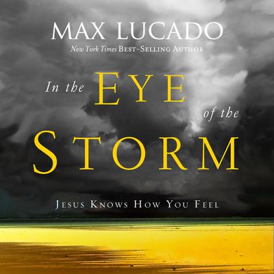 In the Eye of the Storm by Max Lucado audiobook