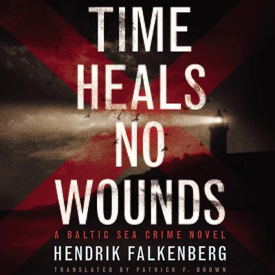 Time Heals No Wounds by Hendrik Falkenberg audiobook
