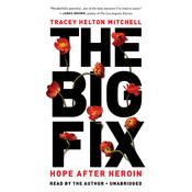 The Big Fix by  Tracey Helton Mitchell audiobook