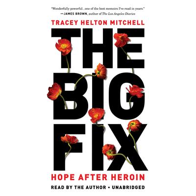 The Big Fix by Tracey Helton Mitchell audiobook