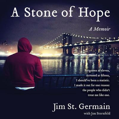 A Stone of Hope by Jim St. Germain audiobook