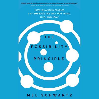 The Possibility Principle by Mel Schwartz audiobook