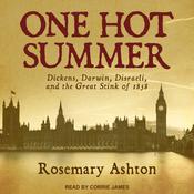 One Hot Summer by  Rosemary Ashton audiobook