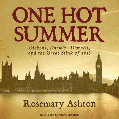 One Hot Summer by Rosemary Ashton audiobook
