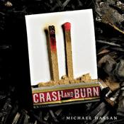 Crash and Burn by  Michael Hassan audiobook