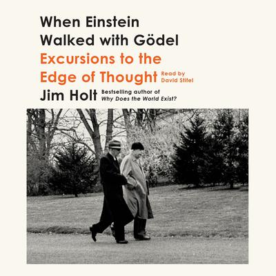 When Einstein Walked with Gödel by Jim Holt audiobook