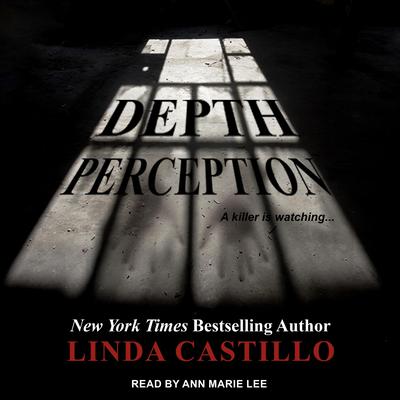 Depth Perception by Linda Castillo audiobook