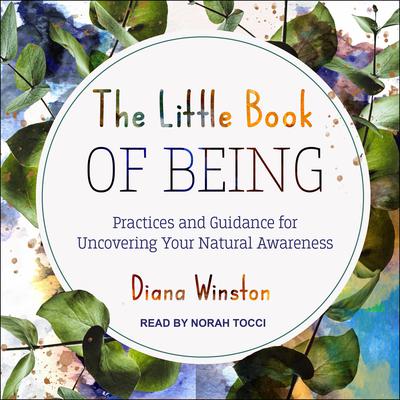 The Little Book of Being by Diana Winston audiobook
