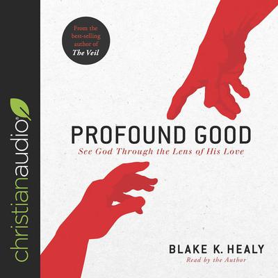 Profound Good by Blake K. Healy audiobook