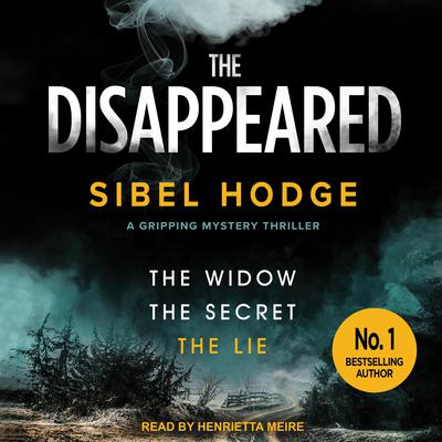 The Disappeared by Sibel Hodge audiobook