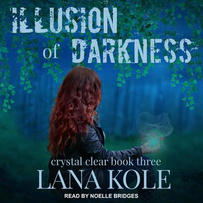 Illusion of Darkness by Lana Kole audiobook