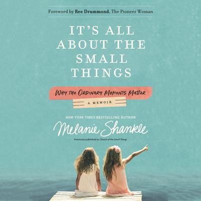 It's All About the Small Things by Melanie Shankle audiobook