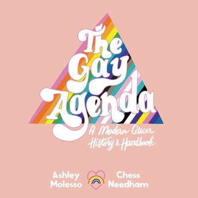 The Gay Agenda by Ashley Molesso audiobook