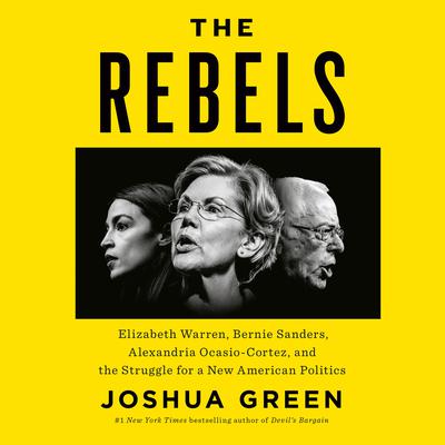 Untitled on American Politics by Joshua Green audiobook