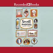 Small Mercies by  Bridget Krone audiobook