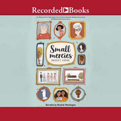 Small Mercies by Bridget Krone audiobook