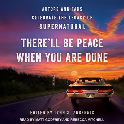 There'll Be Peace When You Are Done by Lynn S. Zubernis audiobook