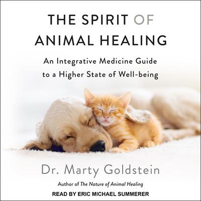 The Spirit of Animal Healing by Marty Goldstein audiobook