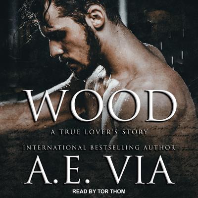 Wood by A.E. Via audiobook