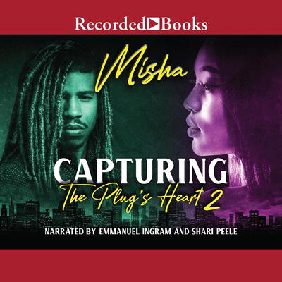 Capturing the Plug's Heart 2 by Misha audiobook