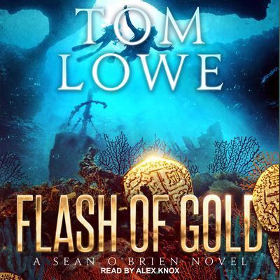 Flash of Gold by Tom Lowe audiobook
