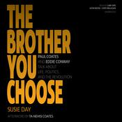 The Brother You Choose by  Susie Day audiobook