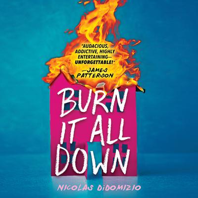 Burn It All Down by Nicolas DiDomizio audiobook