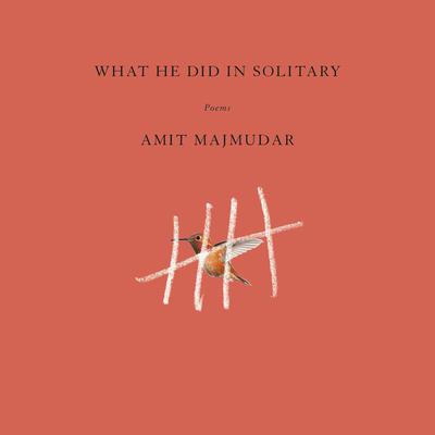 What He Did in Solitary by Amit Majmudar audiobook