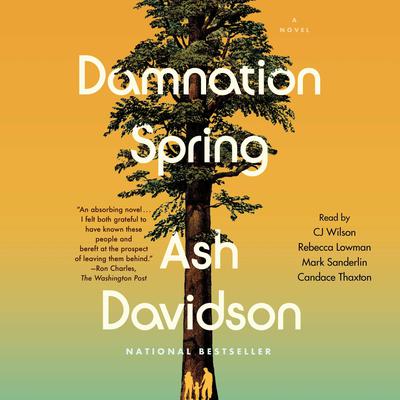 Damnation Spring by Ash Davidson audiobook