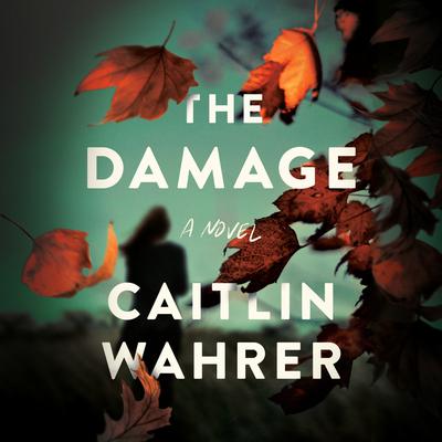 The Damage by Caitlin Wahrer audiobook