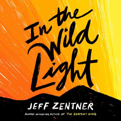 In the Wild Light by Jeff Zentner audiobook