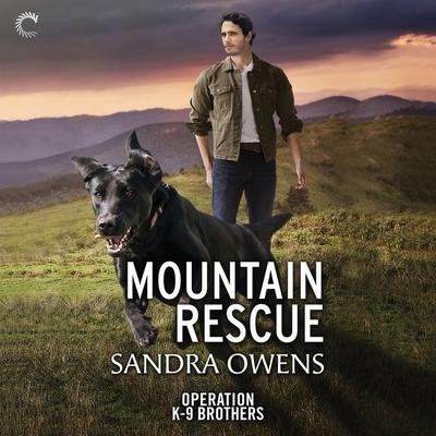 Mountain Rescue by Sandra Owens audiobook