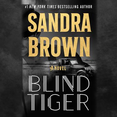 Blind Tiger by Sandra Brown audiobook