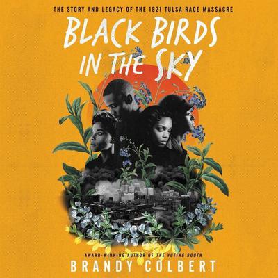 Black Birds in the Sky by Brandy Colbert audiobook