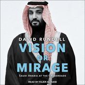 Vision or Mirage by  David Rundell audiobook