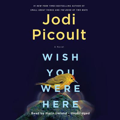 Wish You Were Here by Jodi Picoult audiobook