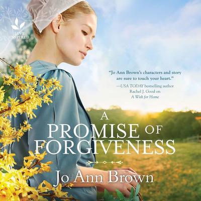 A Promise of Forgiveness by Jo Ann Brown audiobook