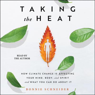 Taking the Heat by Bonnie Schneider audiobook