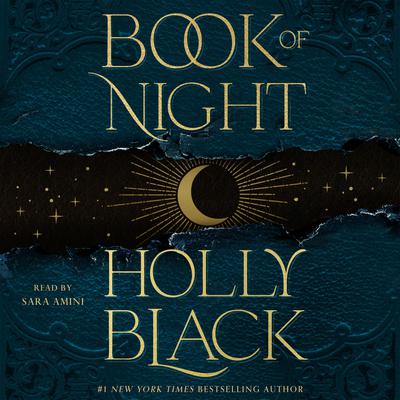 Book of Night by Holly Black audiobook