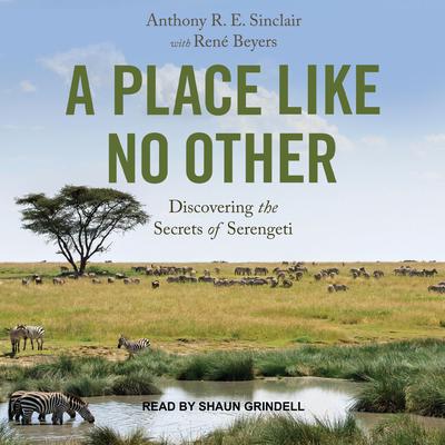 A Place Like No Other by Tony Sinclair audiobook