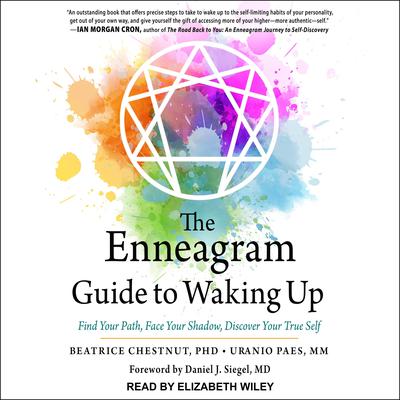 The Enneagram Guide to Waking Up by Beatrice Chestnut audiobook
