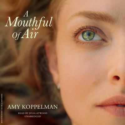 A Mouthful of Air by Amy Koppelman audiobook