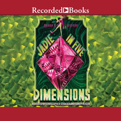 Jadie in Five Dimensions by Dianne K. Salerni audiobook